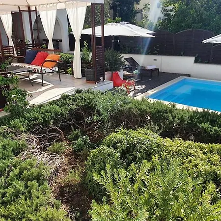 Olive * Gradac (Split-Dalmatia)