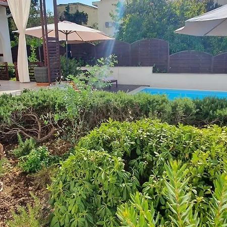 Holiday home Olive Gradac (Split-Dalmatia)
