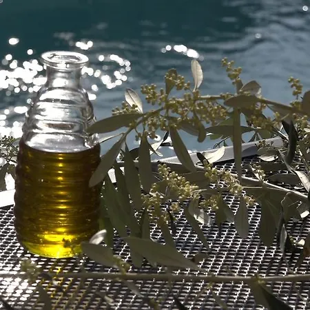 Olive Gradac (Split-Dalmatia)