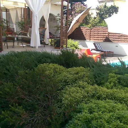 Olive Holiday home
