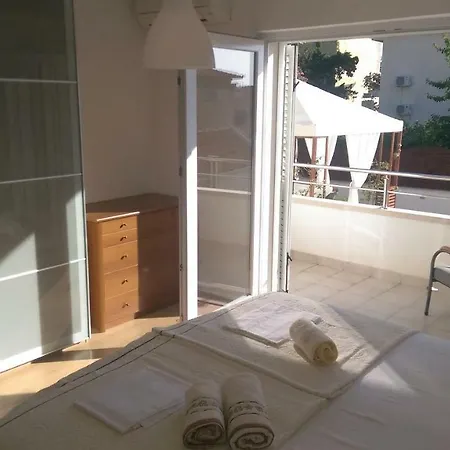 Olive * Gradac (Split-Dalmatia)